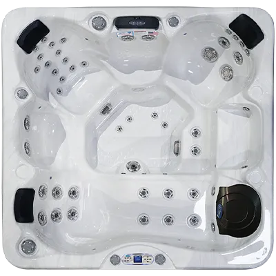 Avalon EC-849L hot tubs for sale in Woodland