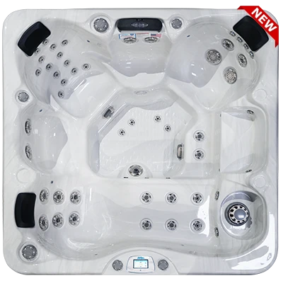 Avalon-X EC-849LX hot tubs for sale in Woodland